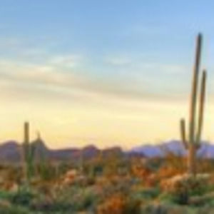 Meet your Posher, Ilsa